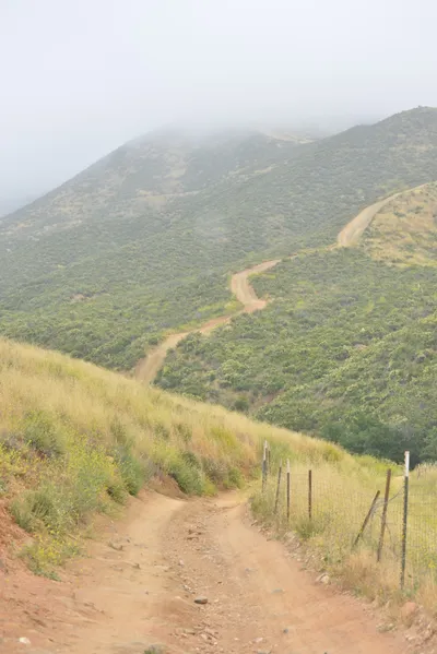 DSC_6843 (Large).JPG